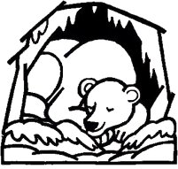 Bear sleeping, hibernating, color the bear