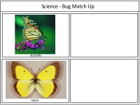 Bug Match Up Game Board