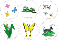 Bug Hunt Story Cards