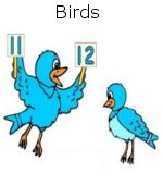 Birds