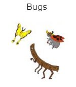 Bugs