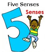 Five Senses