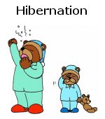 Hibernation