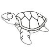 Turtle Coloring Page